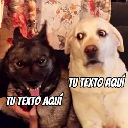 ideas intrusivas XD