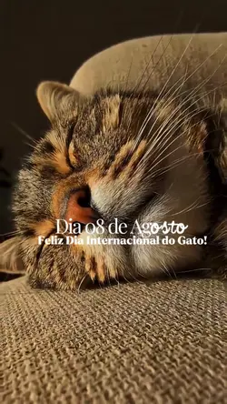 Dia do 🐱 Gato