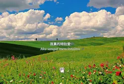 toyoki_lyrics