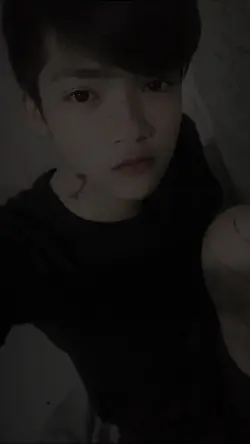1 ảnh 