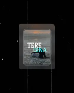 TERE BINA 
