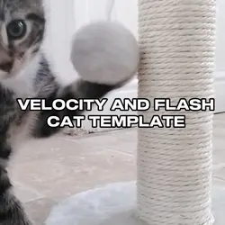 Cat velocity & flash
