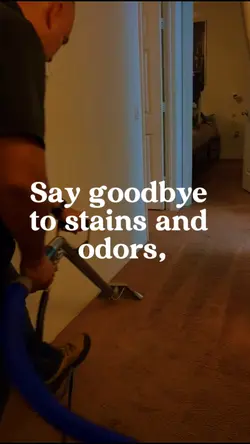 Carpet Cleaning