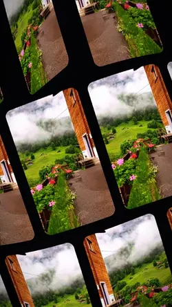 6 clip or photo