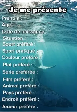 Ma présentation