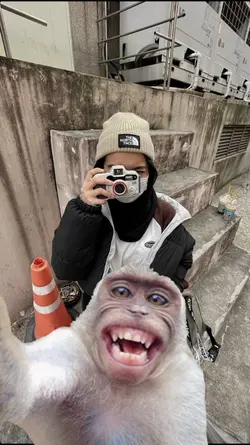 filter monyet 