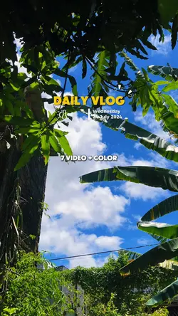 Vlog chill