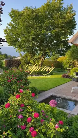 spring 2026