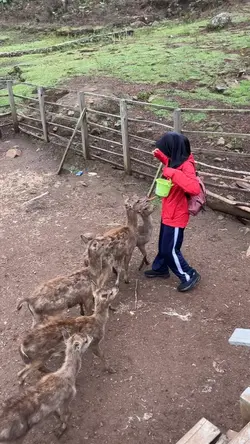 SOUND NGAKAK 