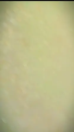 ishq de Dekhe