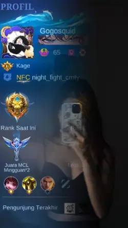 transisi profil ml