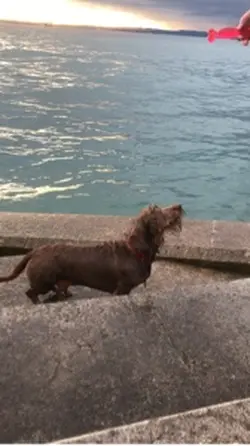 Slow mo