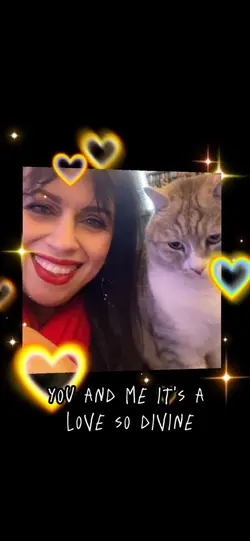 Valentine cat