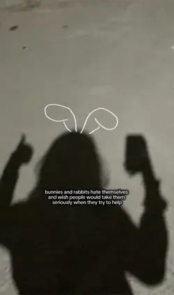 rabbit n bunny