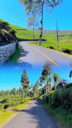 2 video 1 layar