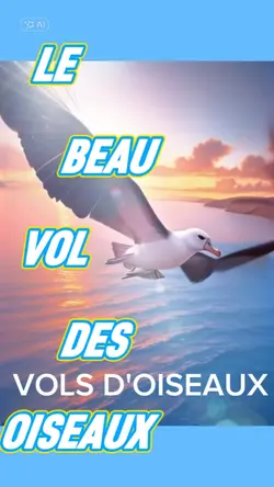 VOLS D'OISEAUX 