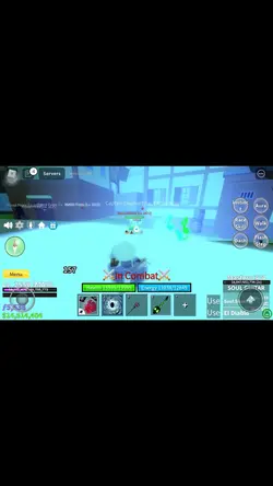 Bloxfruit