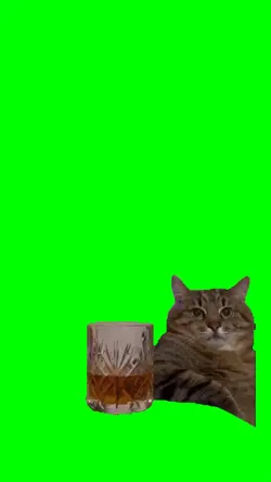 Bro enjoy