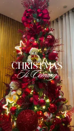 Christmas Is Coming