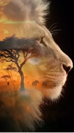 Lion King 