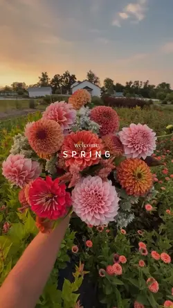 welcome spring