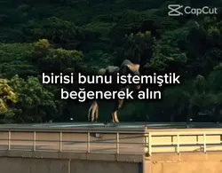 beğenerek alın