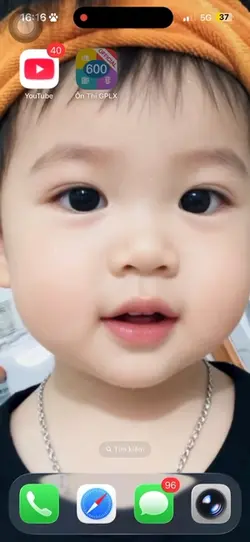 mẫu thi bằng lx