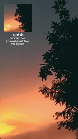 คนจริงใจ