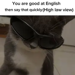 fyp