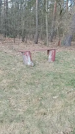 slowmo