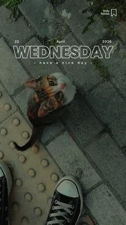 Wednesday