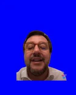 Meme salvini