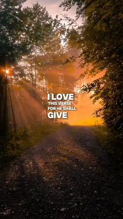 Psalm 91:11