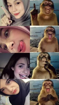trend pose monyet