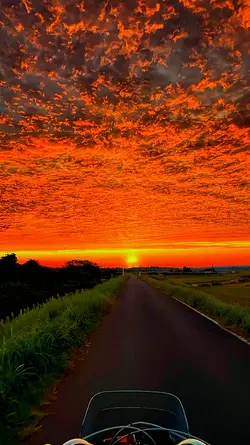 sunset estetik