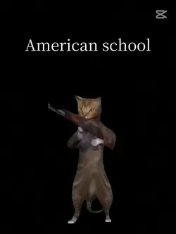 american school