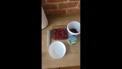 Lody dla psiaków