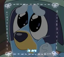 Bluey edit