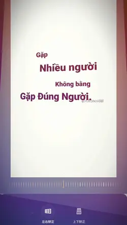 Mẫu troll 