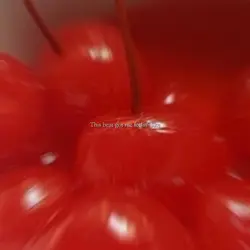 생존신고