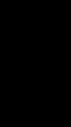 Opening Logo