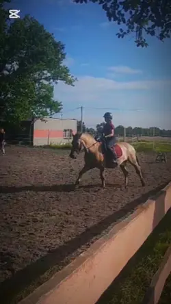 That settt <3 topp