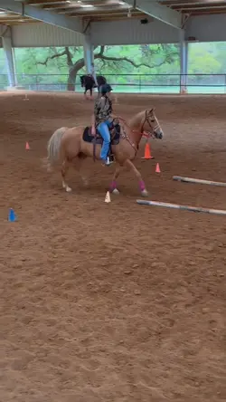 barbie horse