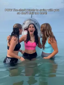 The shark want to