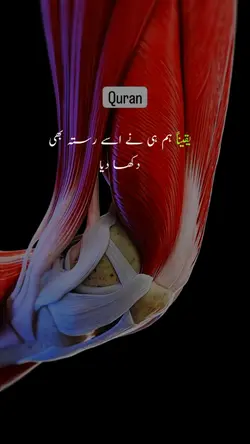 Quran Template new