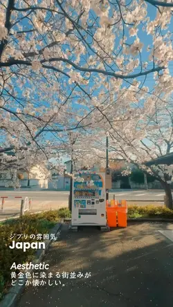 美的日本