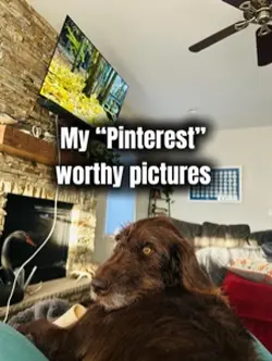 Pinterest Worthy