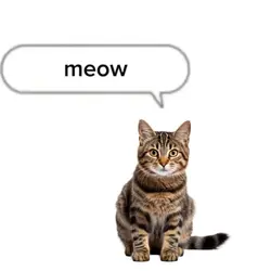 meow