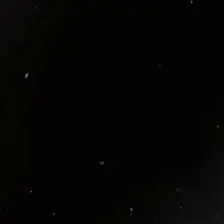 I’m Brown creator