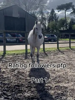 Rating followers pfp